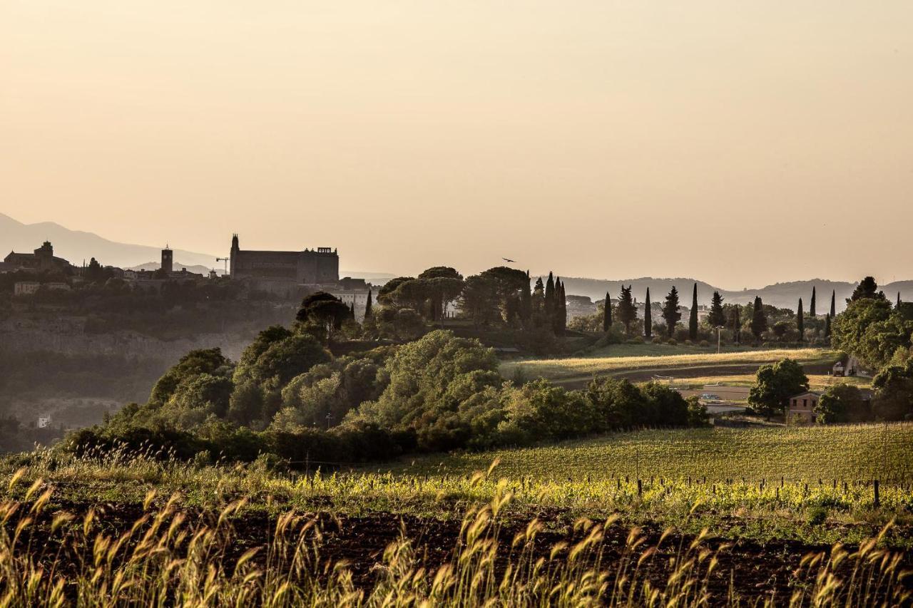 Torre Collevento Luxury Villa Orvieto Exterior photo